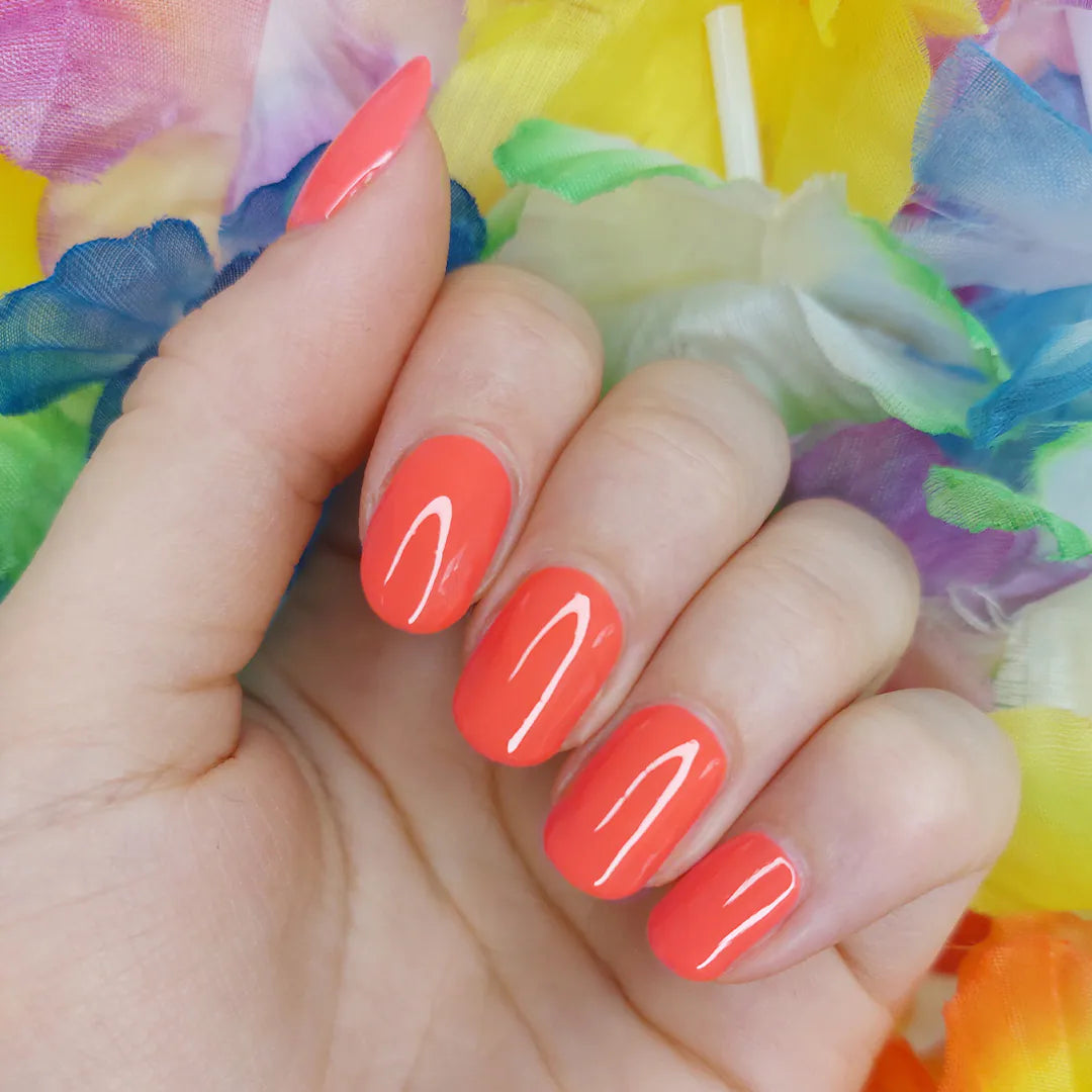 170.29 Princess Adventure 9ml