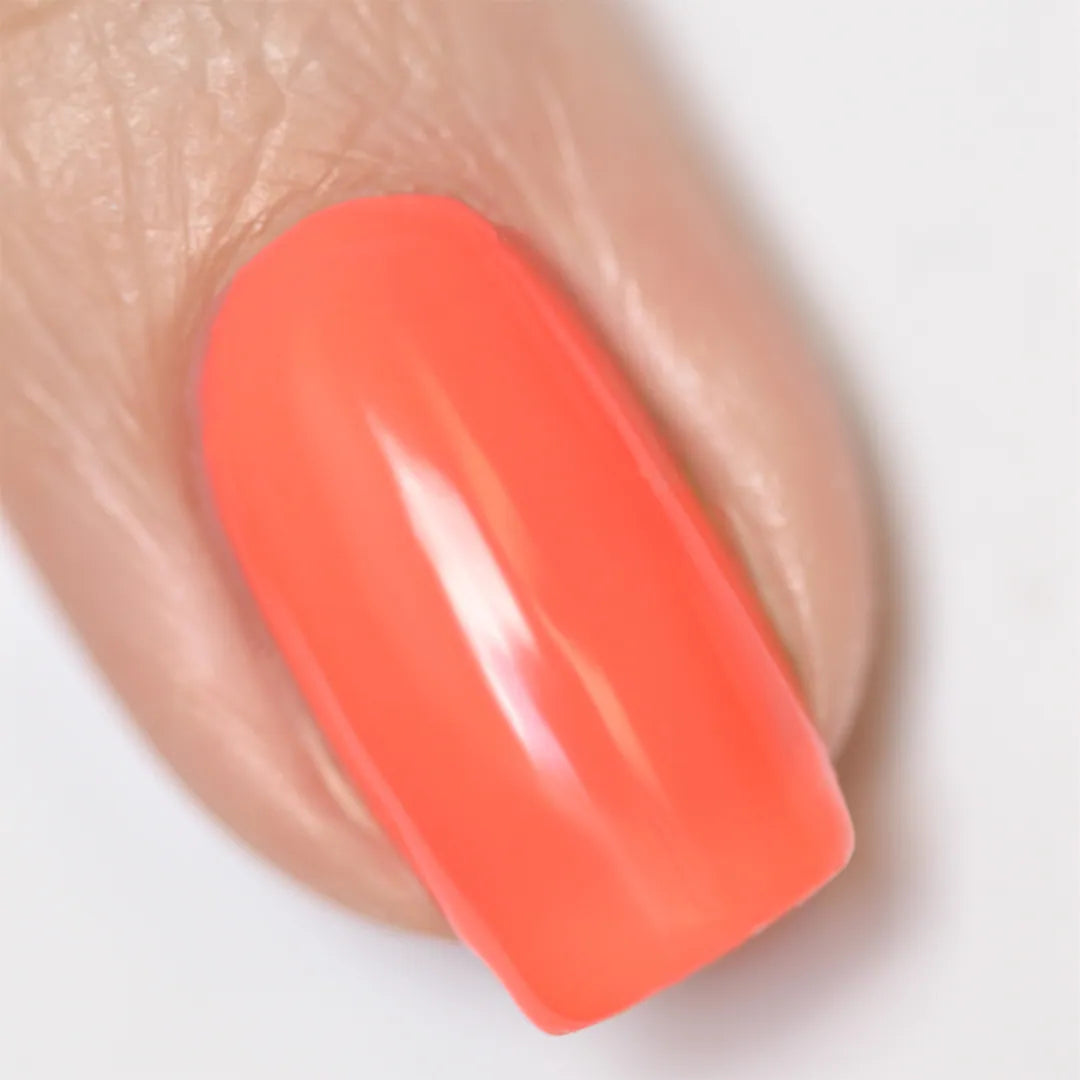 170.29 Princess Adventure 9ml