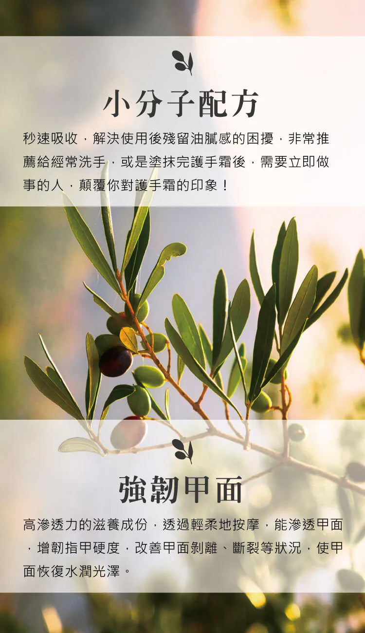 天然橄欖經典潤手護甲霜