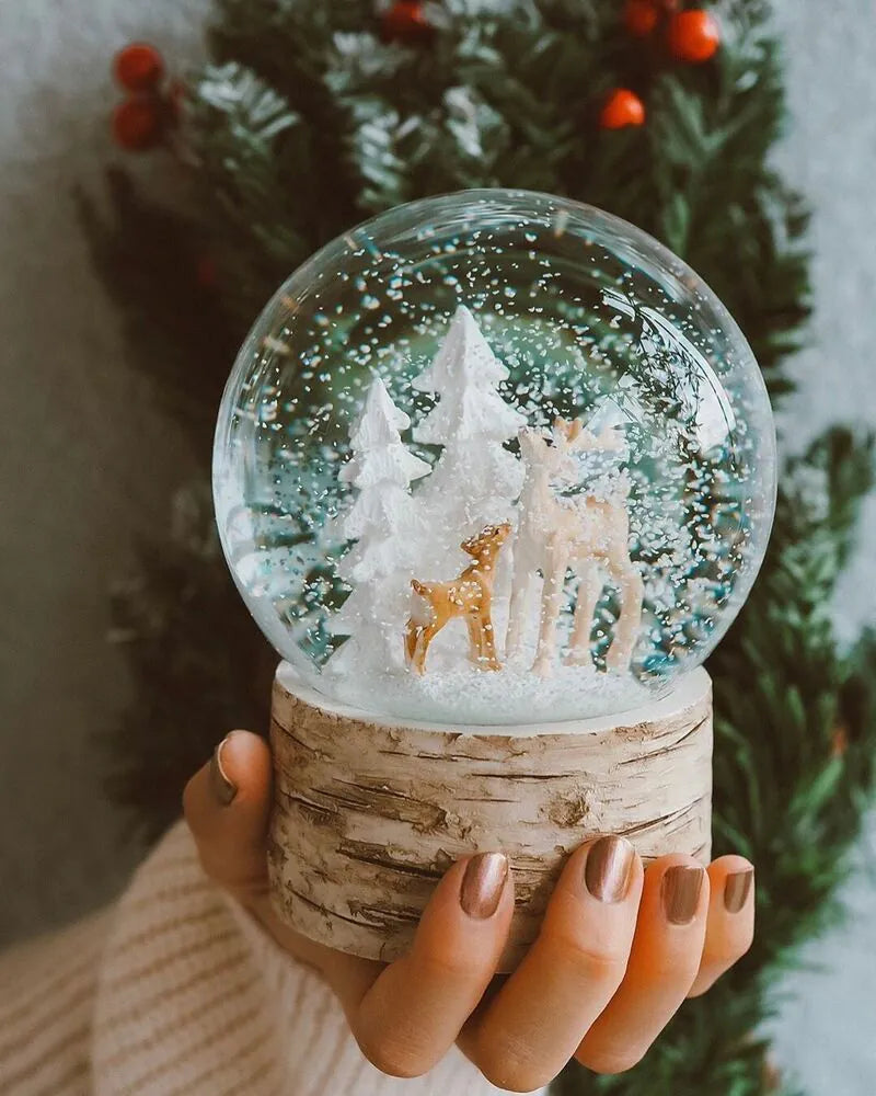 151.80 Winter Wonderland